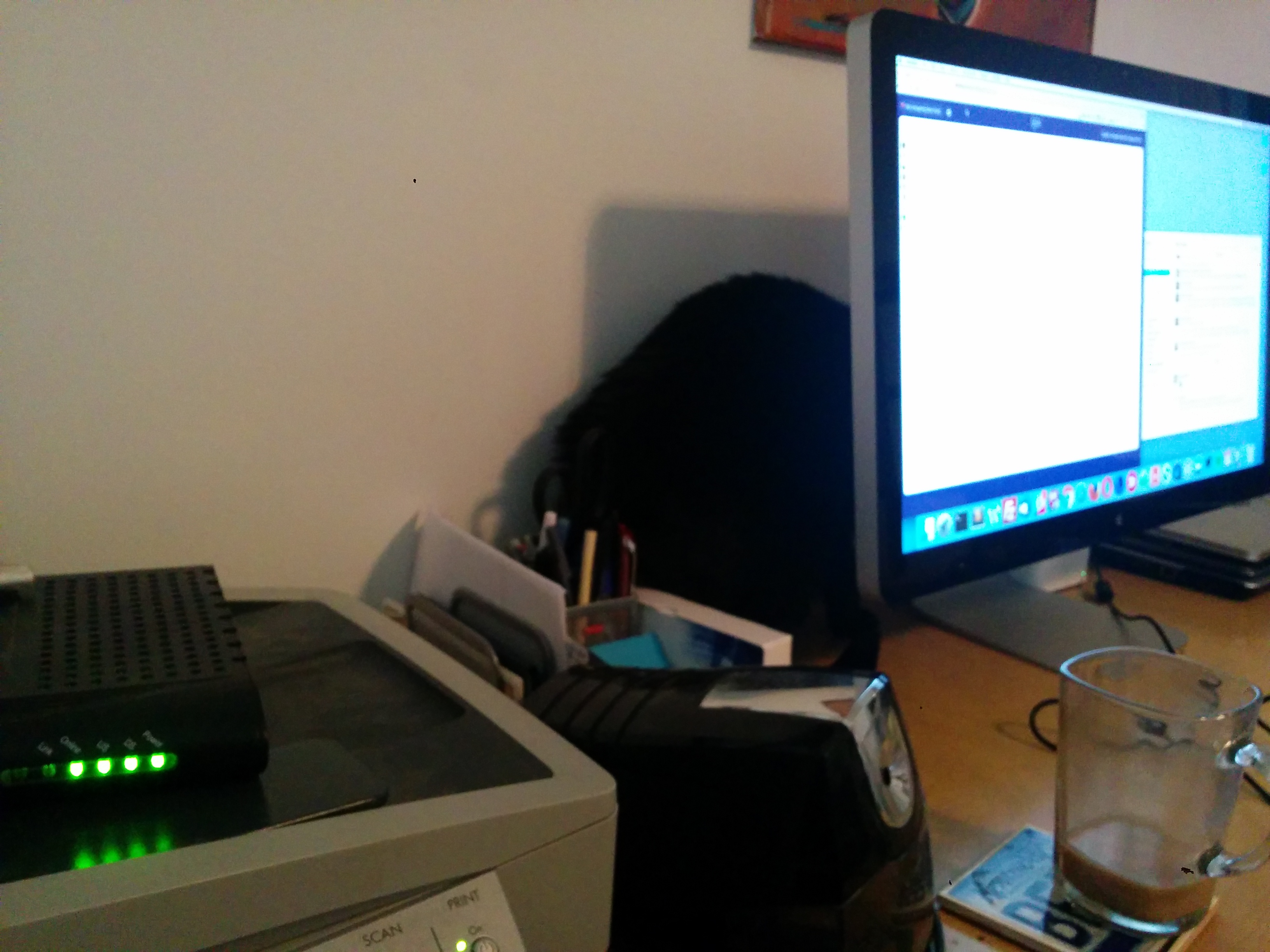 Black cat named Bagheera standing behind a computer monitor