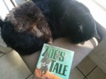Zoe's Tale in hardcover, with avid reader cat, Bagheera
