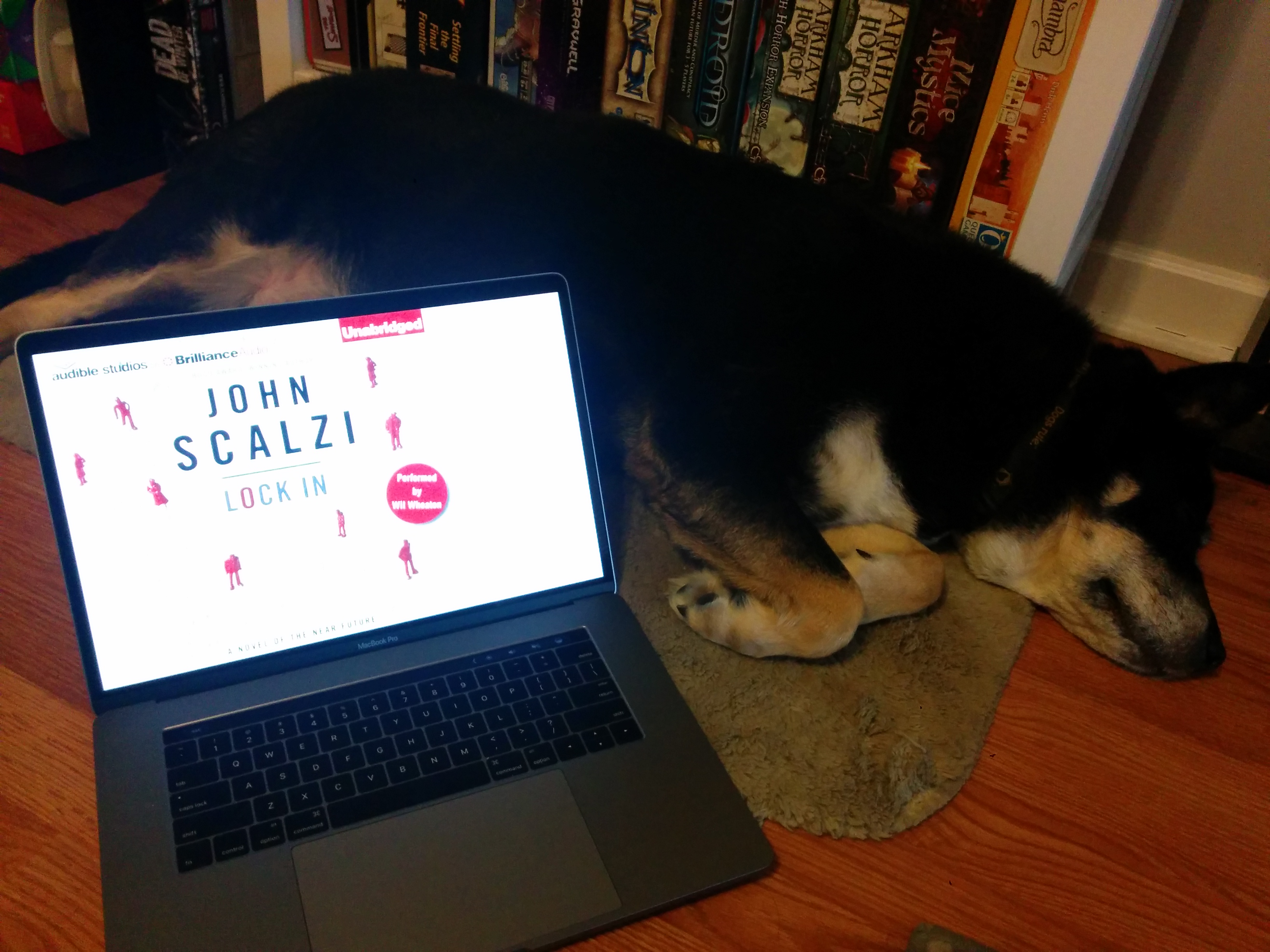 Laptop displaying audiobook cover art for Lock In next to a sleeping dog.